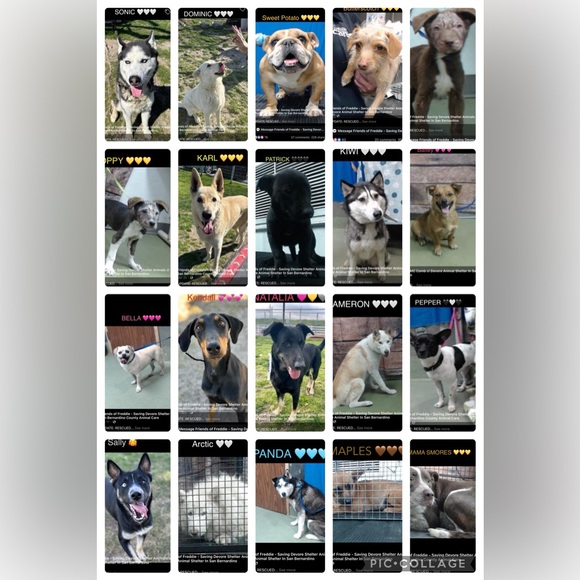 Like for show notifications! - Picture 3 of 6